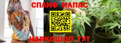 сатива Дубна