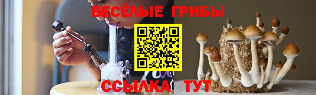 Нальчик  Галлюциногенные грибы ЛСД  Вход с VPN 