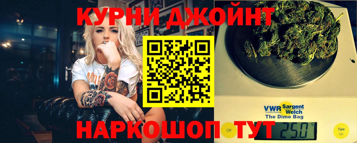 Конопля гибрид Нальчик